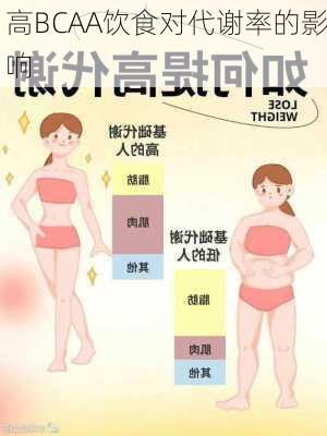 高BCAA饮食对代谢率的影响