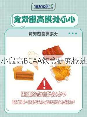 小鼠高BCAA饮食研究概述