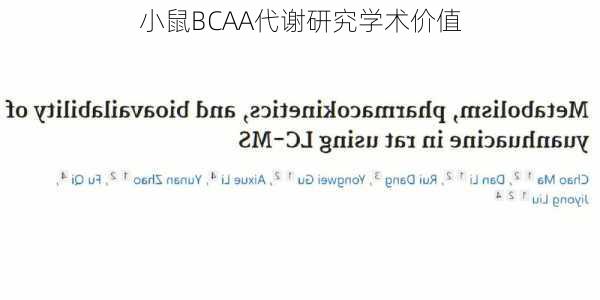 小鼠BCAA代谢研究学术价值
