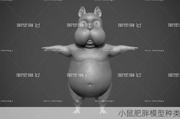 小鼠肥胖模型种类