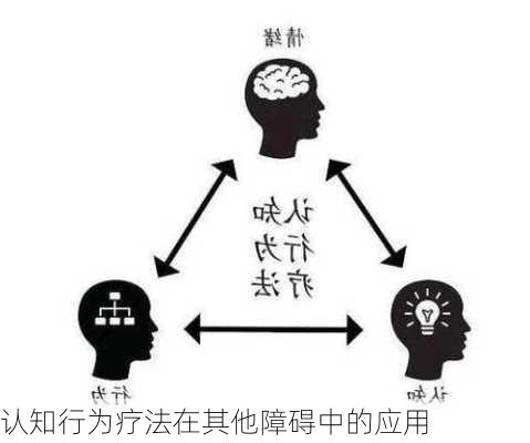 认知行为疗法在其他障碍中的应用