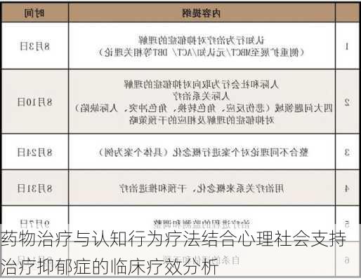药物治疗与认知行为疗法结合心理社会支持治疗抑郁症的临床疗效分析