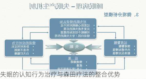 失眠的认知行为治疗与森田疗法的整合优势