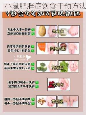 小鼠肥胖症饮食干预方法