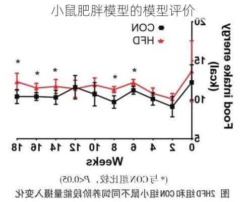 小鼠肥胖模型的模型评价
