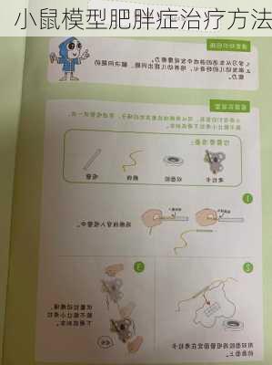 小鼠模型肥胖症治疗方法