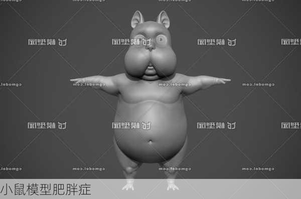 小鼠模型肥胖症