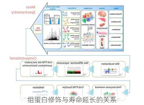 组蛋白修饰与寿命延长的关系