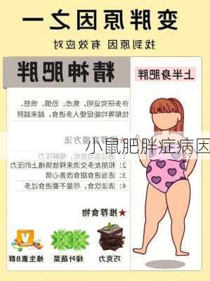 小鼠肥胖症病因