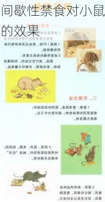 间歇性禁食对小鼠的效果