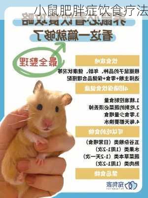小鼠肥胖症饮食疗法
