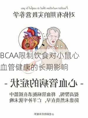 BCAA限制饮食对小鼠心血管健康的长期影响