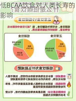 低BCAA饮食对人类长寿的影响