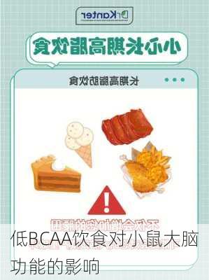 低BCAA饮食对小鼠大脑功能的影响