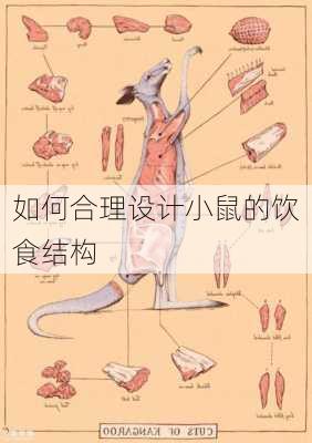 如何合理设计小鼠的饮食结构