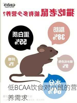 低BCAA饮食对小鼠的营养需求