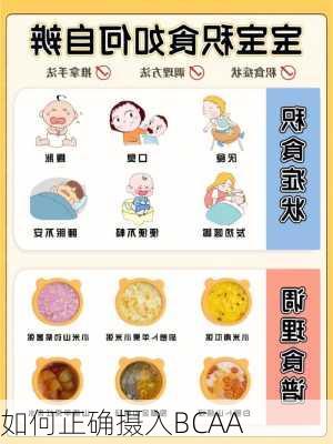 如何正确摄入BCAA