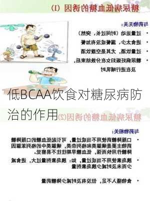低BCAA饮食对糖尿病防治的作用