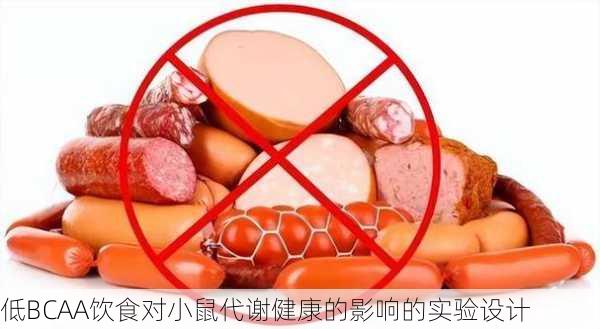 低BCAA饮食对小鼠代谢健康的影响的实验设计