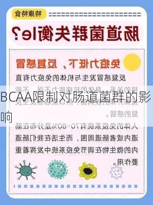 BCAA限制对肠道菌群的影响