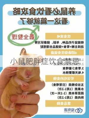 小鼠肥胖症饮食禁忌