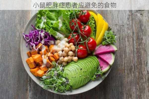 小鼠肥胖症患者应避免的食物