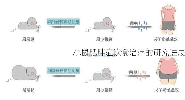 小鼠肥胖症饮食治疗的研究进展
