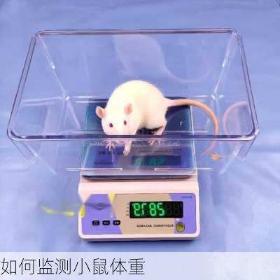 如何监测小鼠体重