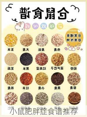 小鼠肥胖症食谱推荐
