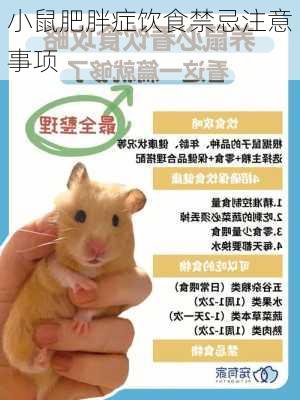 小鼠肥胖症饮食禁忌注意事项