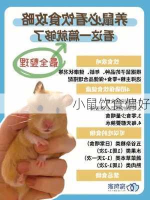 小鼠饮食偏好
