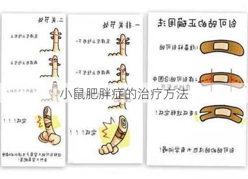 小鼠肥胖症的治疗方法