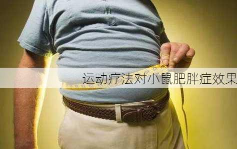 运动疗法对小鼠肥胖症效果