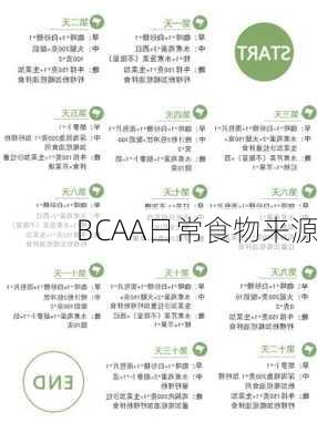 BCAA日常食物来源