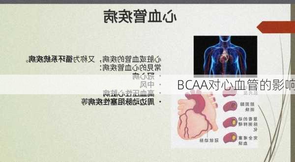 BCAA对心血管的影响