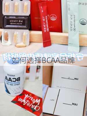 如何选择BCAA品牌