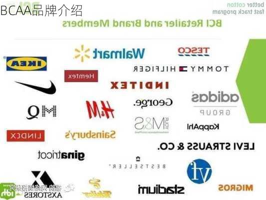 BCAA品牌介绍