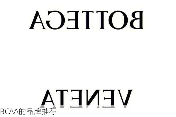 BCAA的品牌推荐