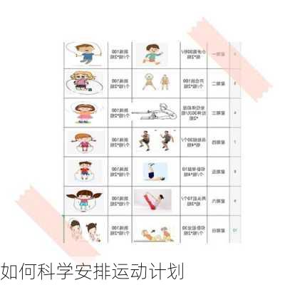 如何科学安排运动计划