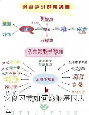 饮食习惯如何影响基因表达