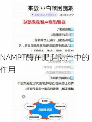 NAMPT酶在肥胖防治中的作用