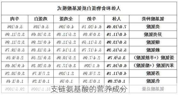 支链氨基酸的营养成分