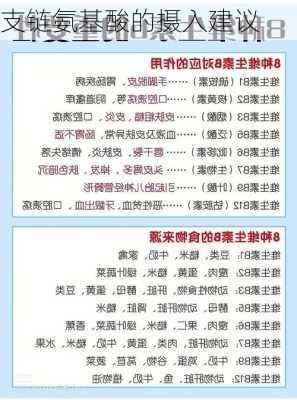 支链氨基酸的摄入建议