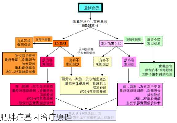 肥胖症基因治疗原理