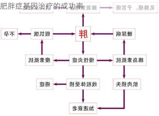 肥胖症基因治疗的成功率