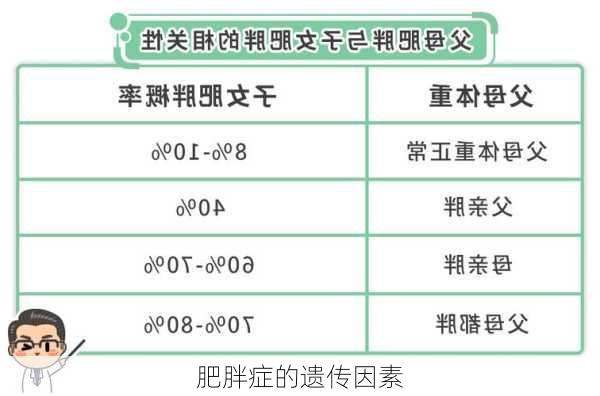 肥胖症的遗传因素
