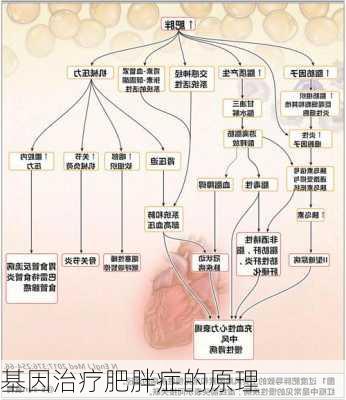 基因治疗肥胖症的原理