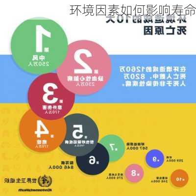 环境因素如何影响寿命