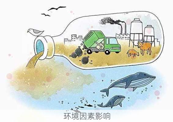 环境因素影响