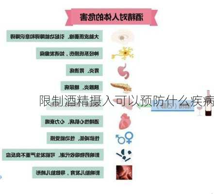 限制酒精摄入可以预防什么疾病